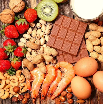 aliments2.jpg